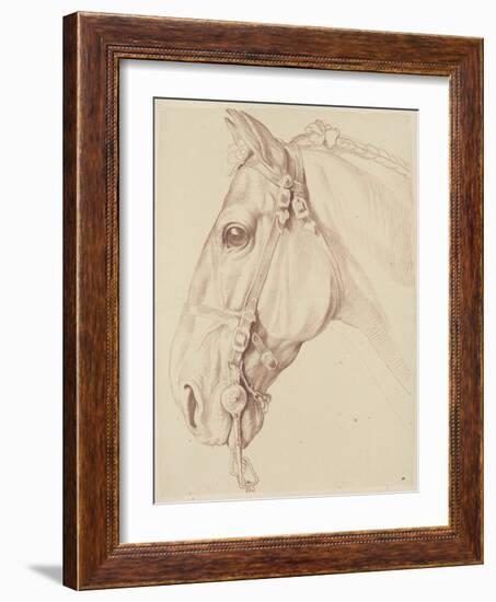 Tête de cheval bridée, tournée vers la gauche-Edme Bouchardon-Framed Giclee Print