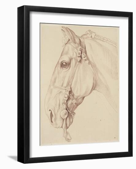 Tête de cheval bridée, tournée vers la gauche-Edme Bouchardon-Framed Giclee Print