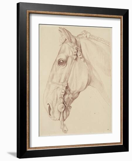 Tête de cheval bridée, tournée vers la gauche-Edme Bouchardon-Framed Giclee Print