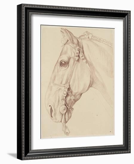 Tête de cheval bridée, tournée vers la gauche-Edme Bouchardon-Framed Giclee Print