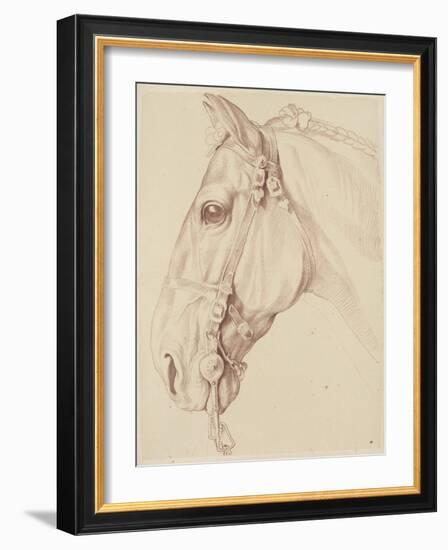 Tête de cheval bridée, tournée vers la gauche-Edme Bouchardon-Framed Giclee Print