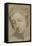 Tête de femme, de trois quarts vers la gauche-Raffaello Sanzio-Framed Premier Image Canvas