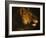 Tete de lionne. Head of a lioness-Theodore Gericault-Framed Giclee Print