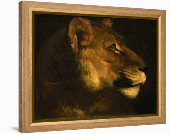 Tete de lionne. Head of a lioness-Theodore Gericault-Framed Premier Image Canvas