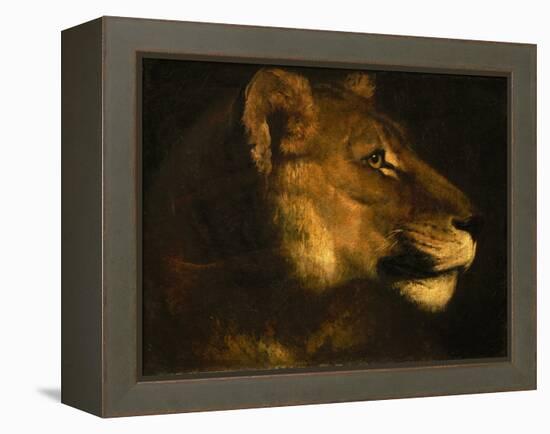 Tete de lionne. Head of a lioness-Theodore Gericault-Framed Premier Image Canvas