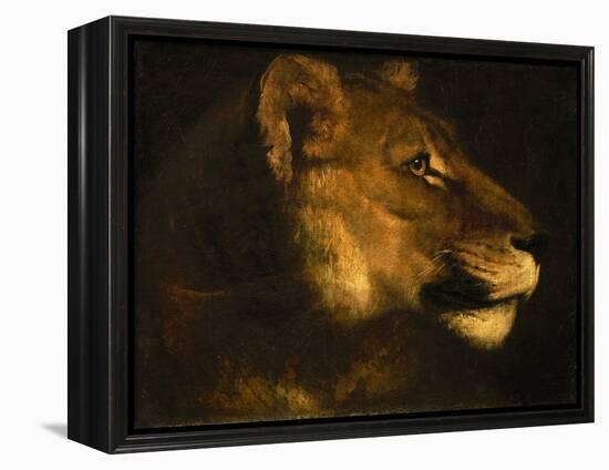 Tete de lionne. Head of a lioness-Theodore Gericault-Framed Premier Image Canvas