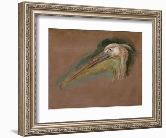 Tête de pélican-Pieter Boel-Framed Giclee Print