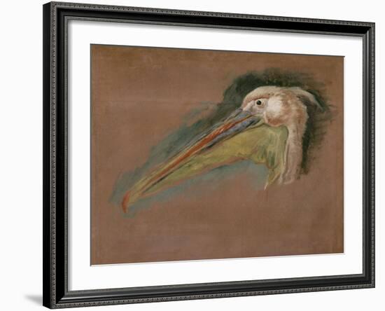 Tête de pélican-Pieter Boel-Framed Giclee Print