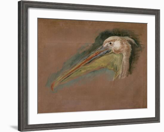 Tête de pélican-Pieter Boel-Framed Giclee Print