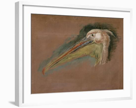 Tête de pélican-Pieter Boel-Framed Giclee Print