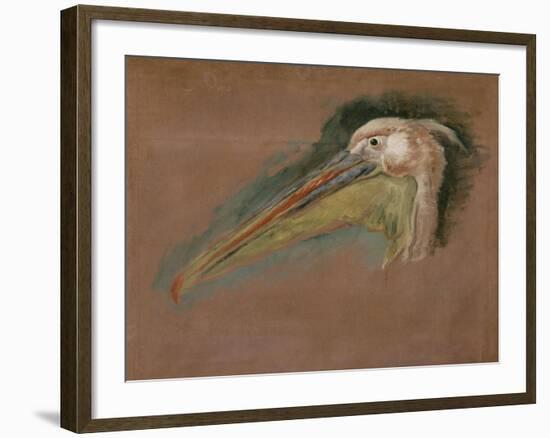 Tête de pélican-Pieter Boel-Framed Giclee Print