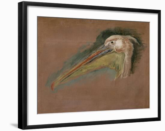 Tête de pélican-Pieter Boel-Framed Giclee Print