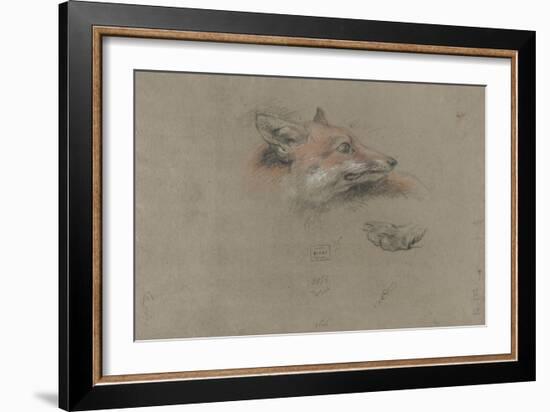 Tête de renard et une patte-Pieter Boel-Framed Giclee Print