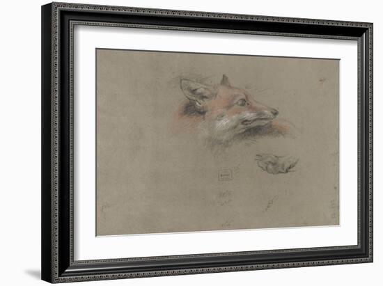 Tête de renard et une patte-Pieter Boel-Framed Giclee Print