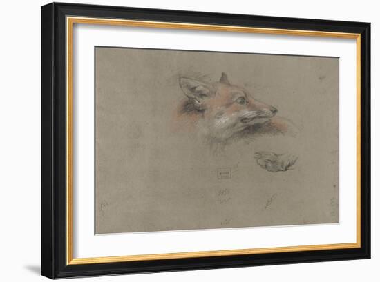 Tête de renard et une patte-Pieter Boel-Framed Giclee Print