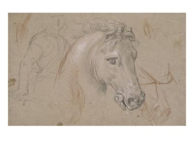 Tete Et Encolure De Cheval De Profil A Droite Poitrail Avec Les Jambes Et Divers Croquis Giclee Print Pierre Mignard Art Com