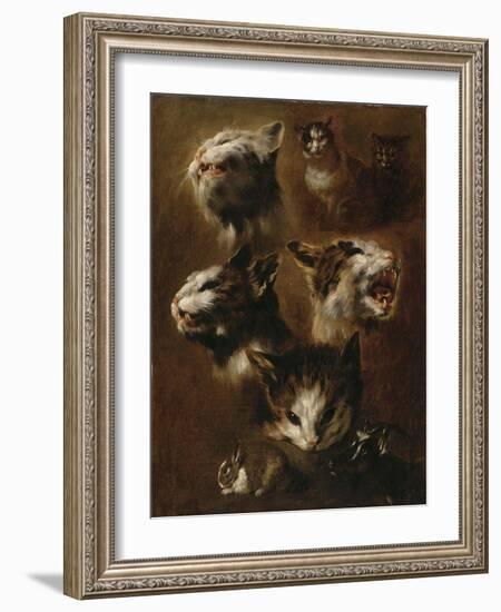 Têtes de chats, un lapin, une tête de chèvre-Pieter Boel-Framed Giclee Print