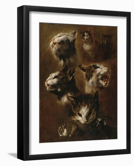 Têtes de chats, un lapin, une tête de chèvre-Pieter Boel-Framed Giclee Print