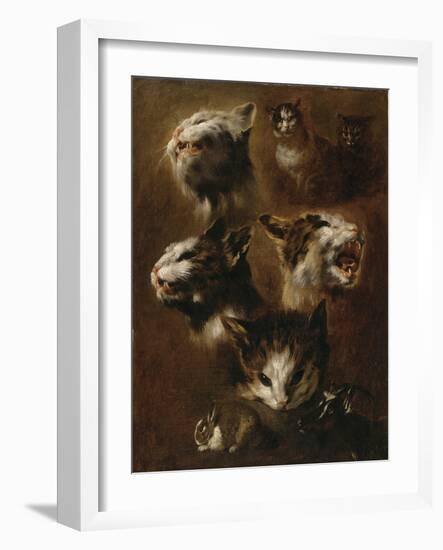 Têtes de chats, un lapin, une tête de chèvre-Pieter Boel-Framed Giclee Print