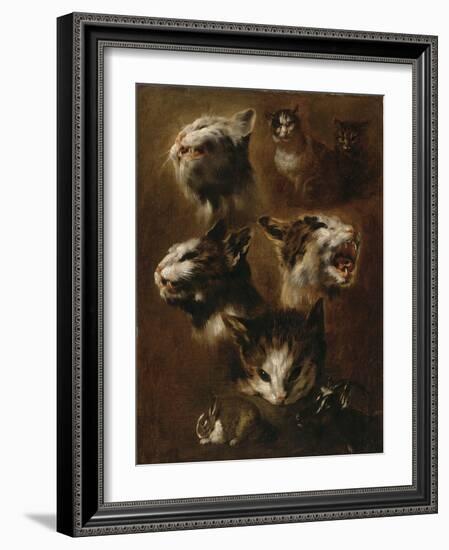 Têtes de chats, un lapin, une tête de chèvre-Pieter Boel-Framed Giclee Print