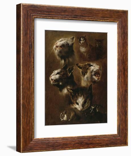 Têtes de chats, un lapin, une tête de chèvre-Pieter Boel-Framed Giclee Print