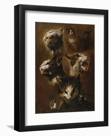 Têtes de chats, un lapin, une tête de chèvre-Pieter Boel-Framed Giclee Print