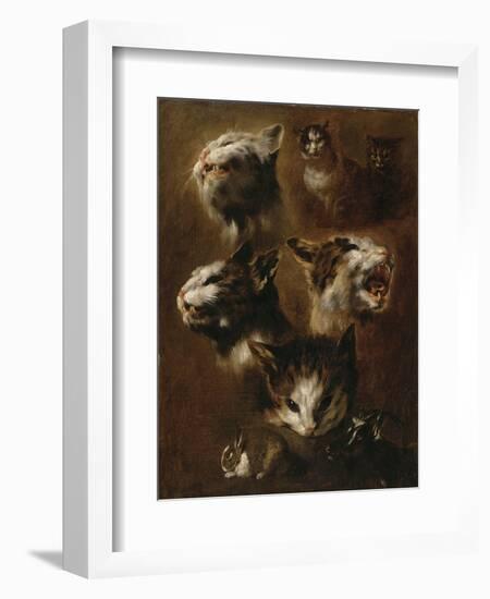 Têtes de chats, un lapin, une tête de chèvre-Pieter Boel-Framed Giclee Print