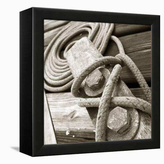 Tethering-null-Framed Premier Image Canvas