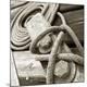 Premium Photographic Print