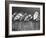 Tethering-PhotoINC-Framed Photographic Print