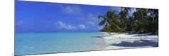 Photographic Print