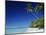 Tetiaroa, Tahiti-Douglas Peebles-Mounted Photographic Print