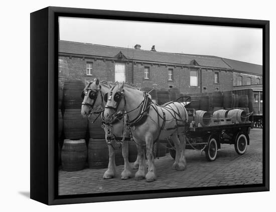 Tetley Shire Horses and Dray, Joshua Tetley Brewery, Leeds, West Yorkshire, 1966-Michael Walters-Framed Premier Image Canvas