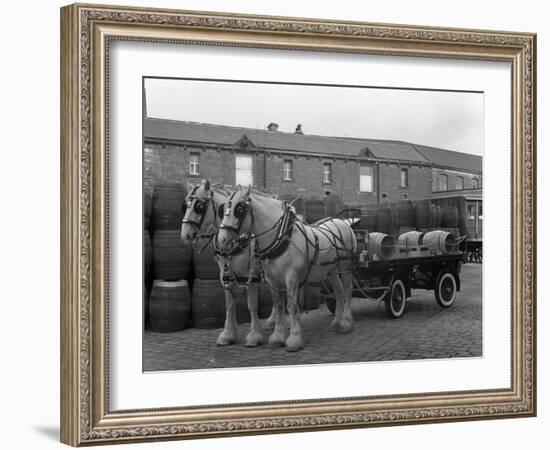 Tetley Shire Horses and Dray, Joshua Tetley Brewery, Leeds, West Yorkshire, 1966-Michael Walters-Framed Photographic Print