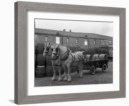 Tetley Shire Horses and Dray, Joshua Tetley Brewery, Leeds, West Yorkshire, 1966-Michael Walters-Framed Photographic Print