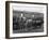 Tetley Shire Horses and Dray, Joshua Tetley Brewery, Leeds, West Yorkshire, 1966-Michael Walters-Framed Photographic Print