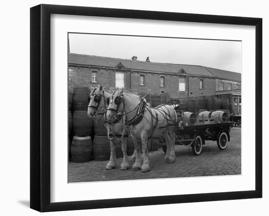 Tetley Shire Horses and Dray, Joshua Tetley Brewery, Leeds, West Yorkshire, 1966-Michael Walters-Framed Photographic Print