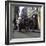 Tetley Shire Horses in the Shambles, York, North Yorkshire, 1969-Michael Walters-Framed Photographic Print