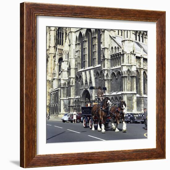 Tetley Shire Horses Outside York Minster, North Yorkshire, 1969-Michael Walters-Framed Photographic Print