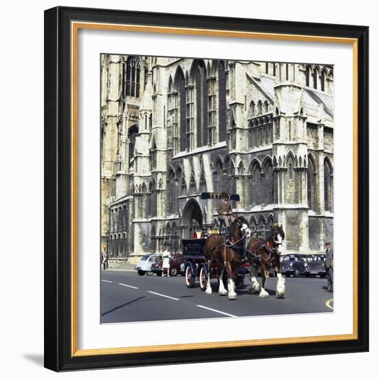 Tetley Shire Horses Outside York Minster, North Yorkshire, 1969-Michael Walters-Framed Photographic Print