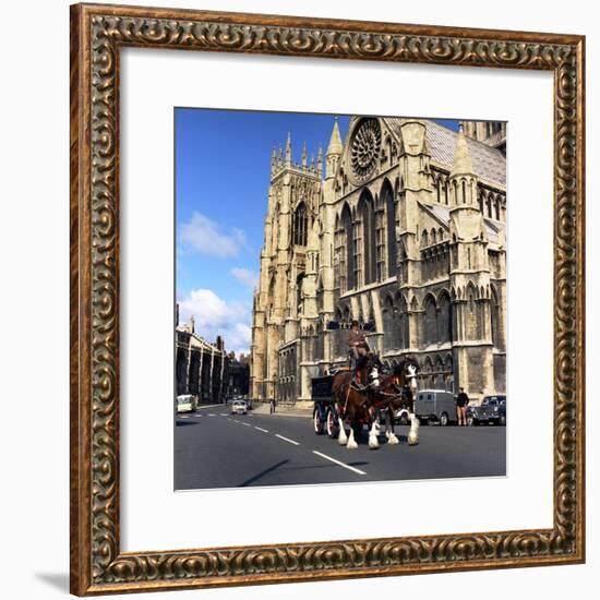 Tetley Shire Horses Outside York Minster, North Yorkshire, 1969-Michael Walters-Framed Photographic Print