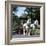 Tetley Shire Horses, Roundhay Park, Leeds, West Yorkshire, 1968-Michael Walters-Framed Photographic Print