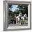 Tetley Shire Horses, Roundhay Park, Leeds, West Yorkshire, 1968-Michael Walters-Framed Photographic Print