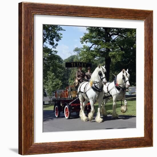 Tetley Shire Horses, Roundhay Park, Leeds, West Yorkshire, 1968-Michael Walters-Framed Photographic Print