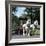 Tetley Shire Horses, Roundhay Park, Leeds, West Yorkshire, 1968-Michael Walters-Framed Photographic Print