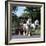 Tetley Shire Horses, Roundhay Park, Leeds, West Yorkshire, 1968-Michael Walters-Framed Photographic Print