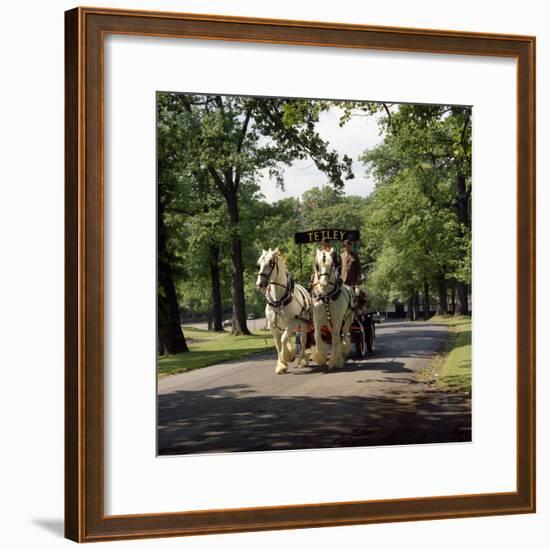 Tetley Shire Horses, Roundhay Park, Leeds, West Yorkshire, 1968-Michael Walters-Framed Photographic Print