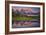 Teton Awakening-Darren White Photography-Framed Photographic Print