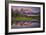 Teton Awakening-Darren White Photography-Framed Photographic Print