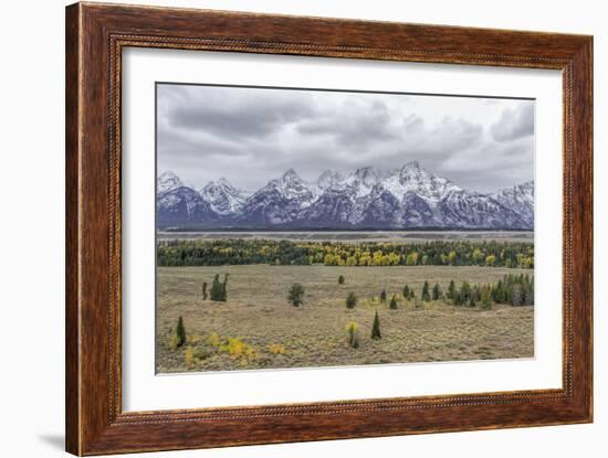 Teton Fall Colors-Galloimages Online-Framed Photographic Print